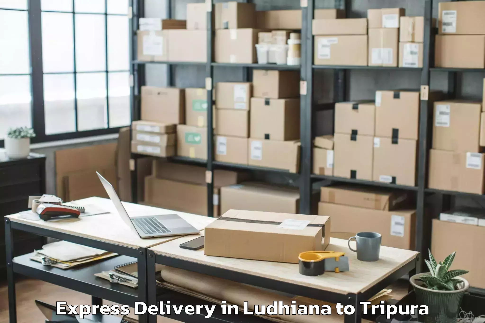 Leading Ludhiana to Udaipur Tripura Express Delivery Provider